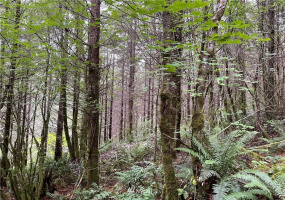 0 Ragland, Longview, Washington 98632, ,Land,For Sale,Ragland,NWM1880024