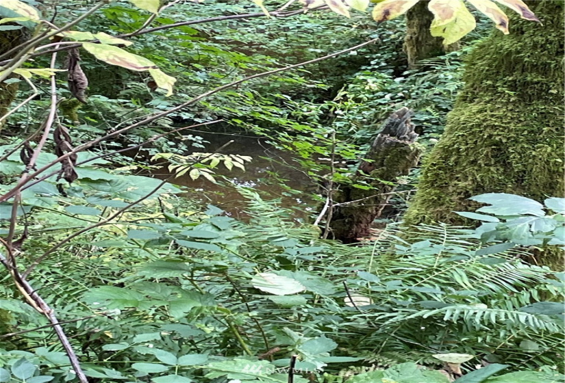 0 Ragland, Longview, Washington 98632, ,Land,For Sale,Ragland,NWM1880024