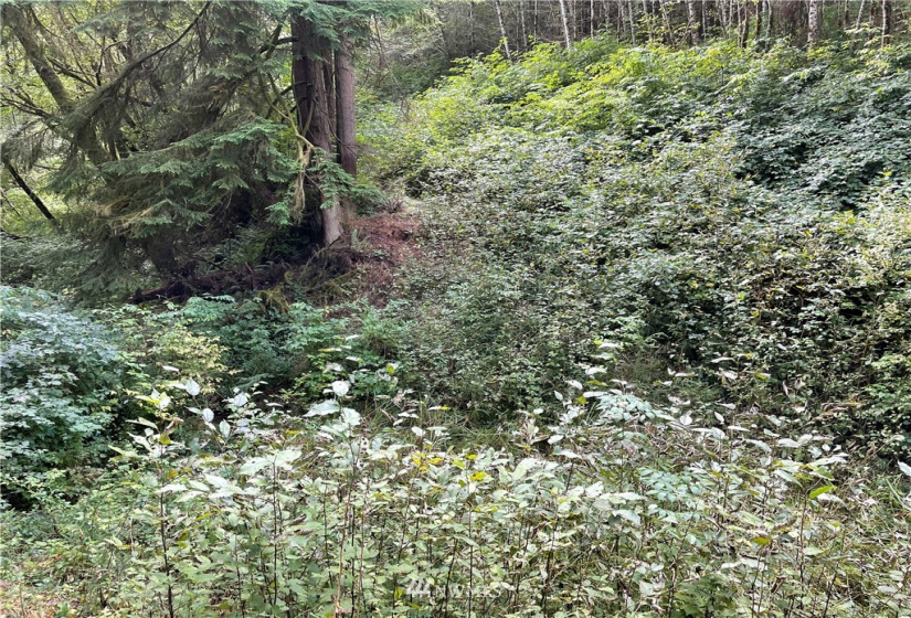0 Ragland, Longview, Washington 98632, ,Land,For Sale,Ragland,NWM1880024