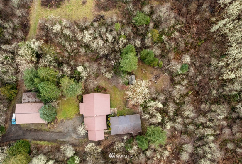 111 Wrangler, Toledo, Washington 98591, 4 Bedrooms Bedrooms, ,2 BathroomsBathrooms,Residential,For Sale,Wrangler,NWM1881185