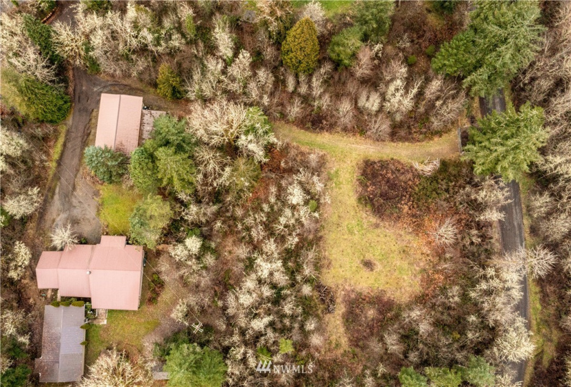 111 Wrangler, Toledo, Washington 98591, 4 Bedrooms Bedrooms, ,2 BathroomsBathrooms,Residential,For Sale,Wrangler,NWM1881185