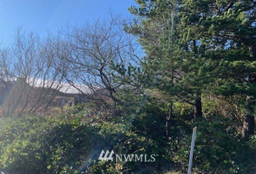 35015 I, Ocean Park, Washington 98640, ,Land,For Sale,I,NWM1881257