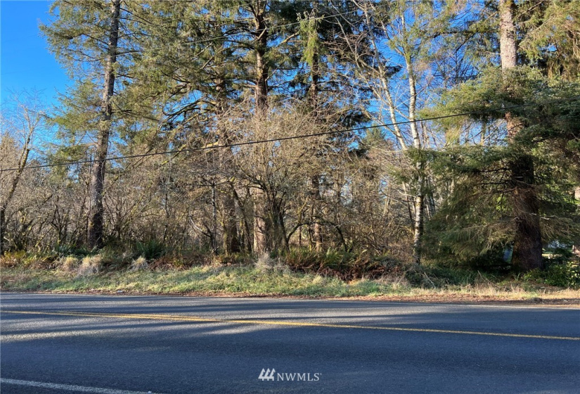 33 XX State Route 105, Grayland, Washington 98547, ,Land,For Sale,Mar Vista,State Route 105,NWM1881160