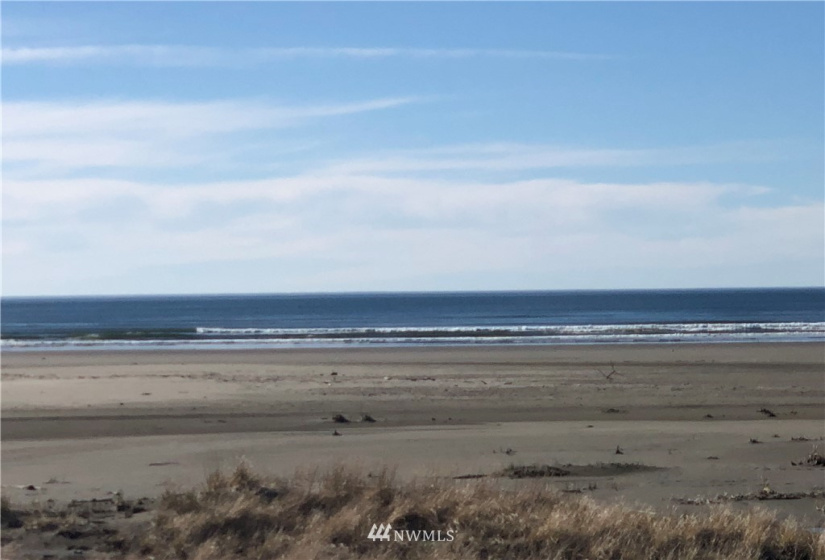 33 XX State Route 105, Grayland, Washington 98547, ,Land,For Sale,Mar Vista,State Route 105,NWM1881160