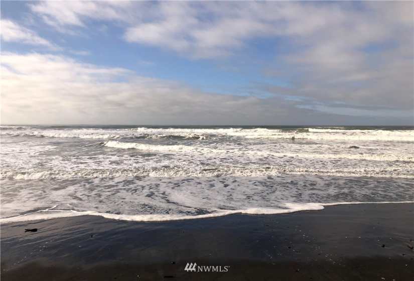 33 XX State Route 105, Grayland, Washington 98547, ,Land,For Sale,Mar Vista,State Route 105,NWM1881160