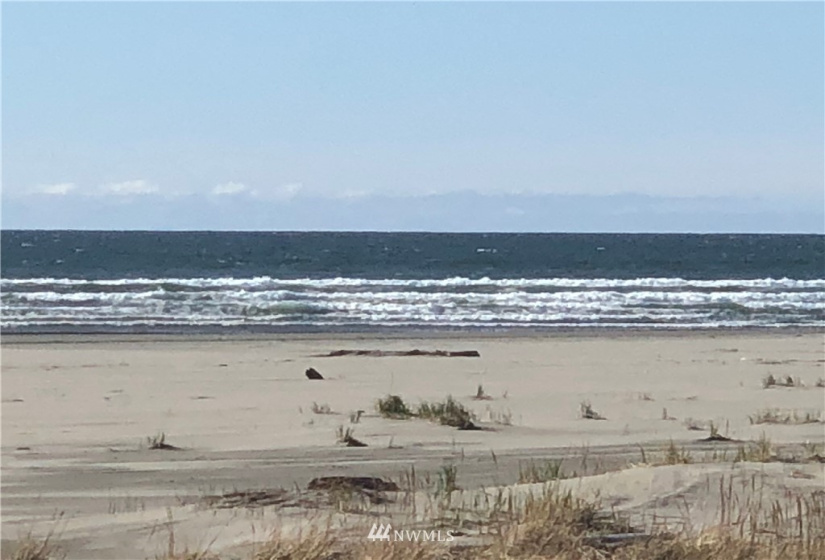 33 XX State Route 105, Grayland, Washington 98547, ,Land,For Sale,Mar Vista,State Route 105,NWM1881160