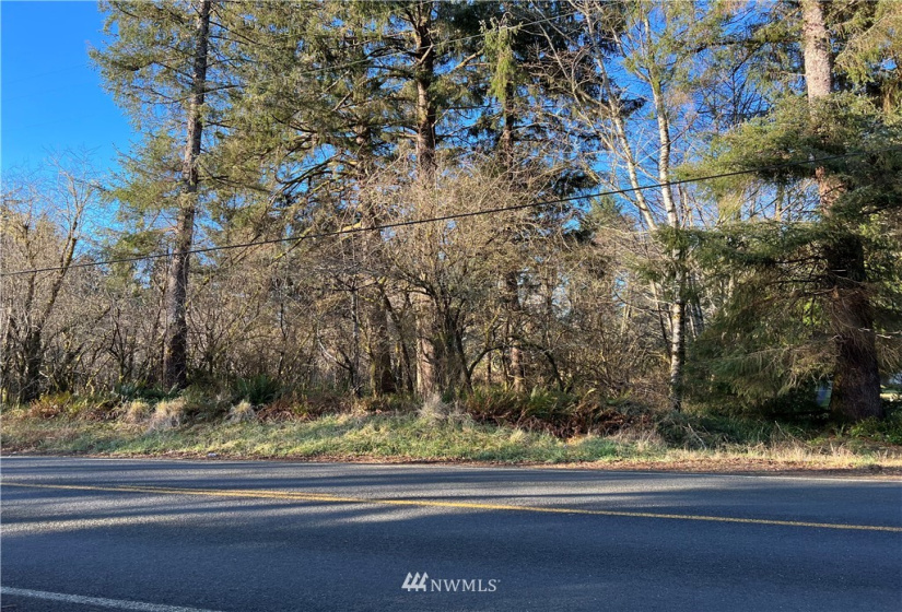 33 XX State Route 105, Grayland, Washington 98547, ,Land,For Sale,Mar Vista,State Route 105,NWM1881160