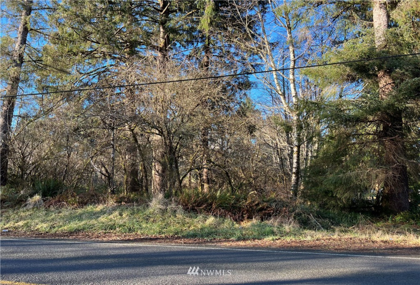 33 XX State Route 105, Grayland, Washington 98547, ,Land,For Sale,Mar Vista,State Route 105,NWM1881160