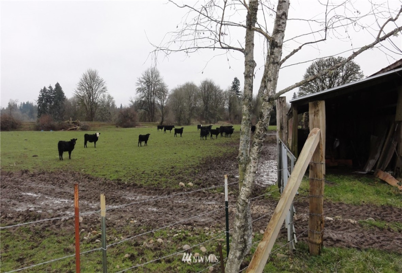 8306 Westside Hwy, Castle Rock, Washington 98611, 3 Bedrooms Bedrooms, ,1 BathroomBathrooms,Residential,For Sale,Westside Hwy,NWM1881210