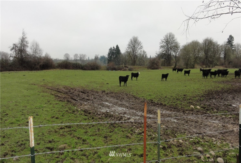 8306 Westside Hwy, Castle Rock, Washington 98611, 3 Bedrooms Bedrooms, ,1 BathroomBathrooms,Residential,For Sale,Westside Hwy,NWM1881210