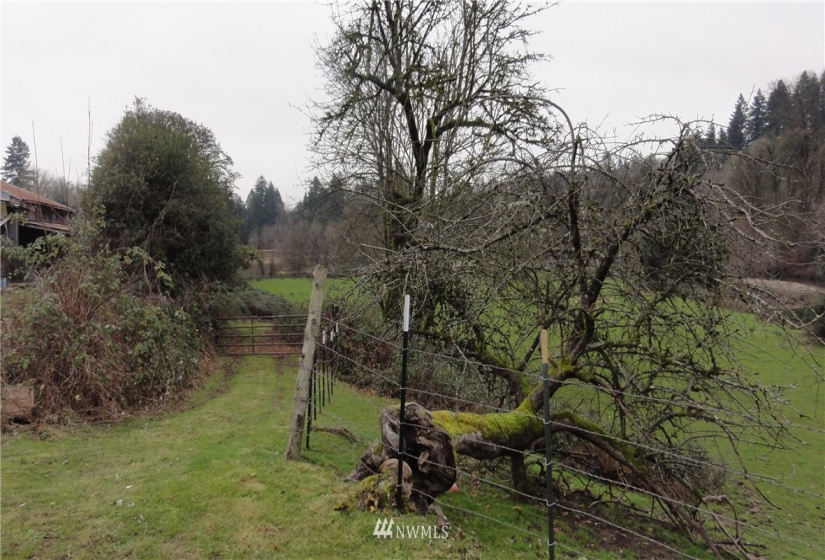 8306 Westside Hwy, Castle Rock, Washington 98611, 3 Bedrooms Bedrooms, ,1 BathroomBathrooms,Residential,For Sale,Westside Hwy,NWM1881210