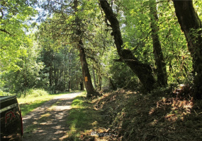 649 Clearwater, Kelso, Washington 98626, ,Land,For Sale,Clearwater,NWM1874878