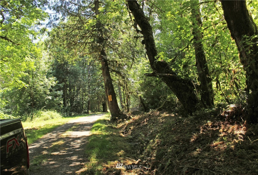 649 Clearwater, Kelso, Washington 98626, ,Land,For Sale,Clearwater,NWM1874878