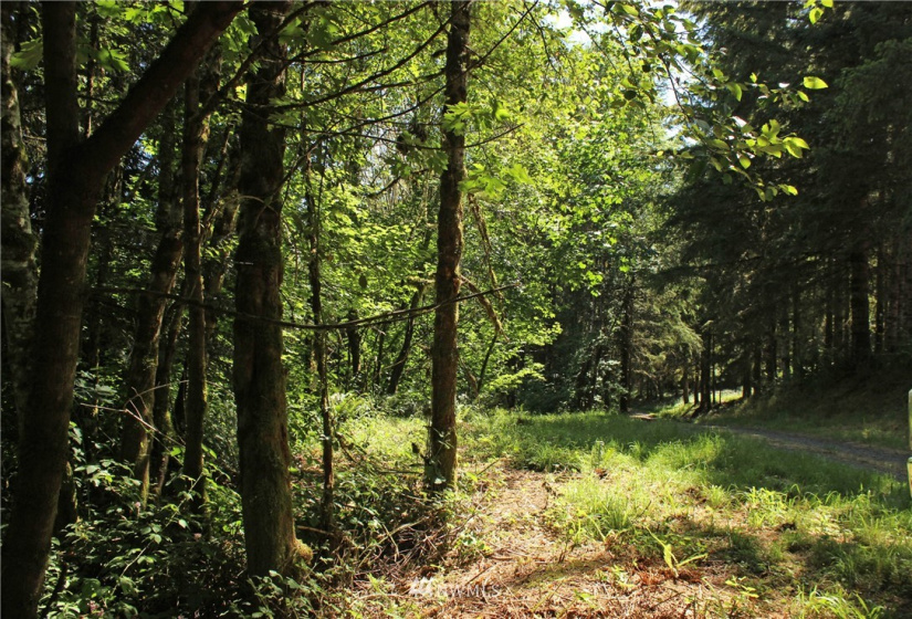 649 Clearwater, Kelso, Washington 98626, ,Land,For Sale,Clearwater,NWM1874878