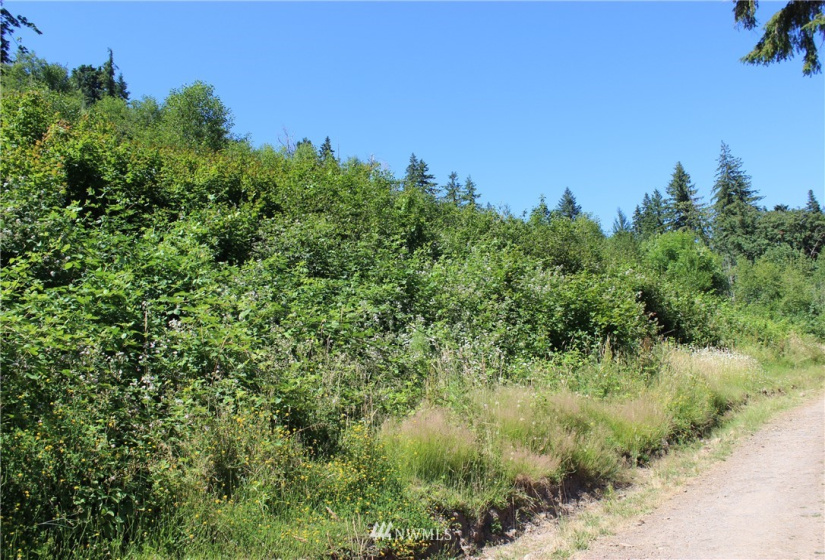 649 Clearwater, Kelso, Washington 98626, ,Land,For Sale,Clearwater,NWM1874878