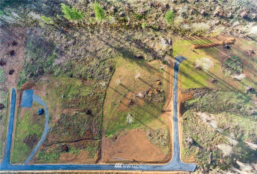 0 Haywire, Napavine, Washington 98565, ,Land,For Sale,Haywire,NWM1880426