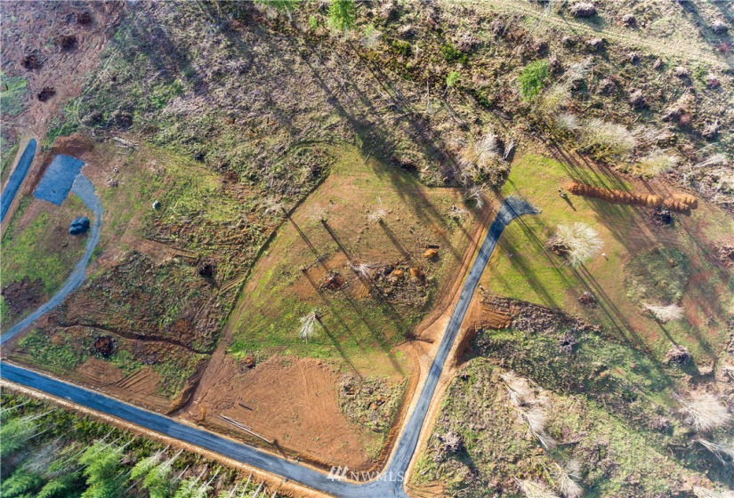 0 Haywire, Napavine, Washington 98565, ,Land,For Sale,Haywire,NWM1880426