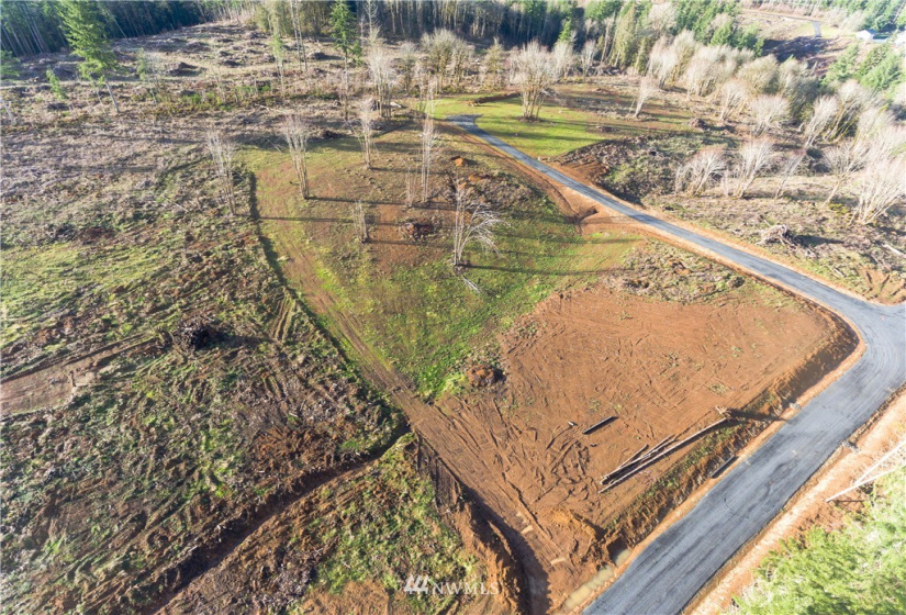 0 Haywire, Napavine, Washington 98565, ,Land,For Sale,Haywire,NWM1880426