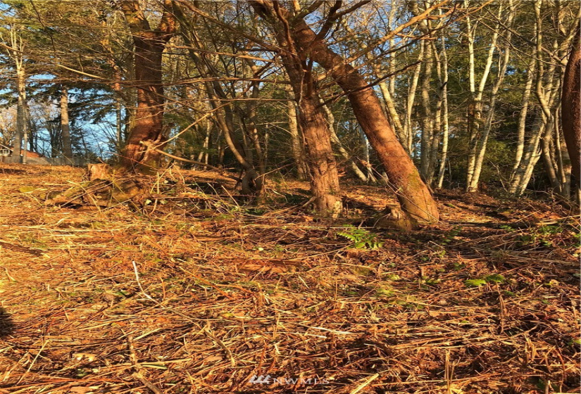 0 xxx Midway, Shelton, Washington 98584, ,Land,For Sale,Shorecrest Add Replat,Midway,NWM1881378