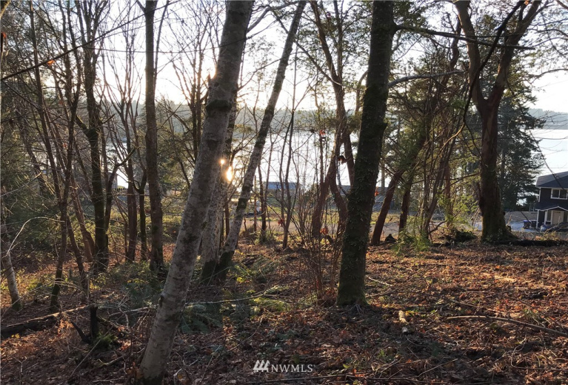 0 xxx Midway, Shelton, Washington 98584, ,Land,For Sale,Shorecrest Add Replat,Midway,NWM1881378