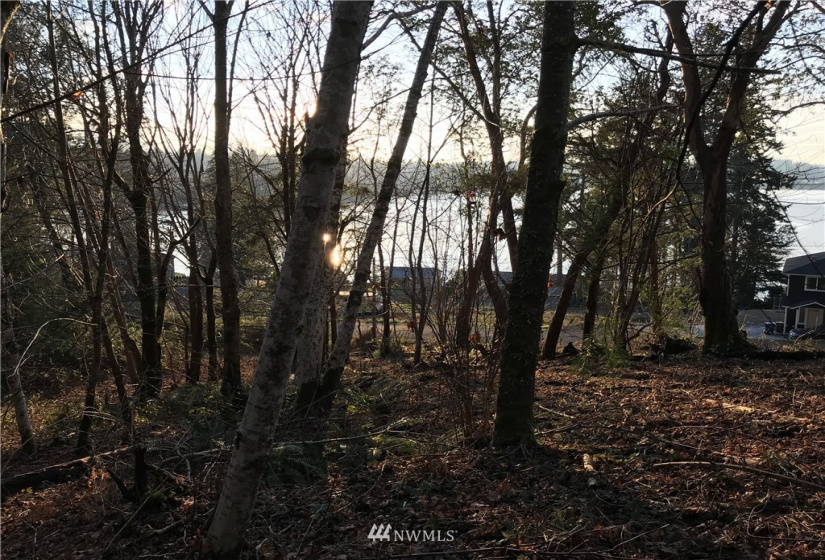 0 xxx Midway, Shelton, Washington 98584, ,Land,For Sale,Shorecrest Add Replat,Midway,NWM1881378