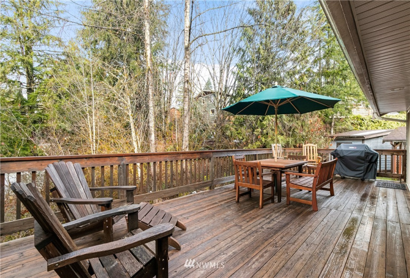 16039 Alpine, Glacier, Washington 98244, 4 Bedrooms Bedrooms, ,3 BathroomsBathrooms,Residential,For Sale,Alpine,NWM1881070