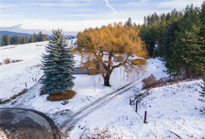 19824 Sands, Colbert, Washington 99005, 2 Bedrooms Bedrooms, ,1 BathroomBathrooms,Residential,For Sale,Sands,NWM1878303