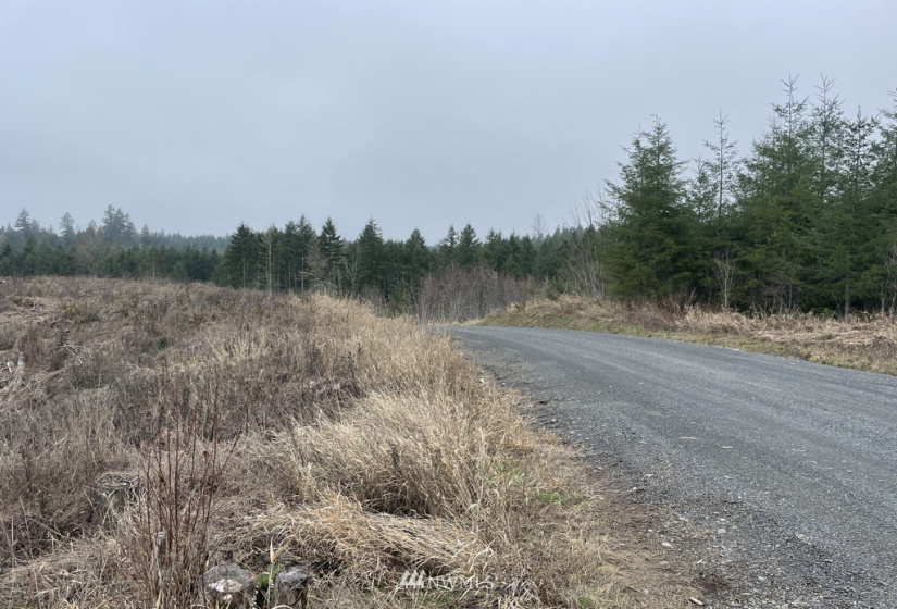 0 Salmon Creek, Toledo, Washington 98591, ,Land,For Sale,Salmon Creek,NWM1879890