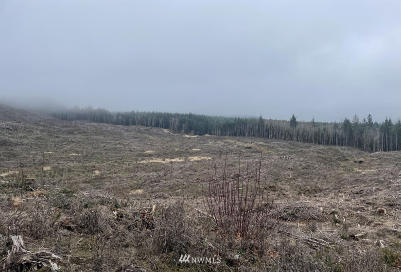 0 Salmon Creek, Toledo, Washington 98591, ,Land,For Sale,Salmon Creek,NWM1879890