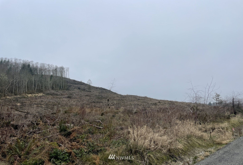 0 Salmon Creek, Toledo, Washington 98591, ,Land,For Sale,Salmon Creek,NWM1879890