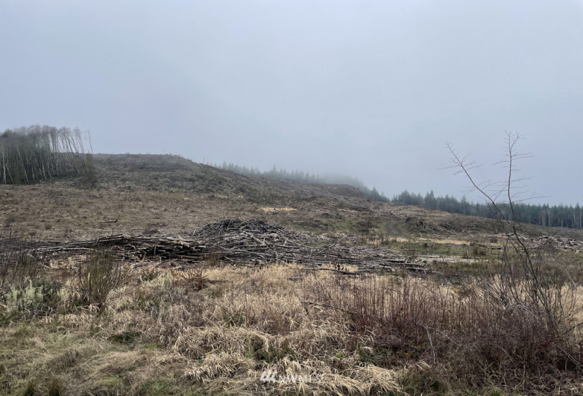 0 Salmon Creek, Toledo, Washington 98591, ,Land,For Sale,Salmon Creek,NWM1879890