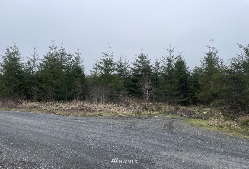 0 Salmon Creek, Toledo, Washington 98591, ,Land,For Sale,Salmon Creek,NWM1879890