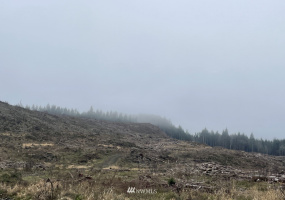 0 Salmon Creek, Toledo, Washington 98591, ,Land,For Sale,Salmon Creek,NWM1879890