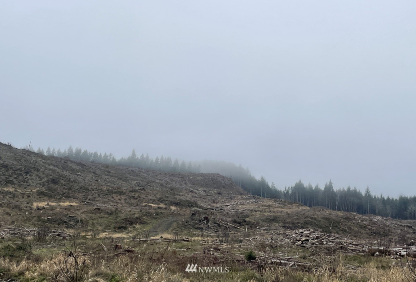 0 Salmon Creek, Toledo, Washington 98591, ,Land,For Sale,Salmon Creek,NWM1879890