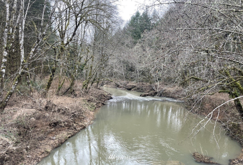 0 Salmon Creek, Toledo, Washington 98591, ,Land,For Sale,Salmon Creek,NWM1879890