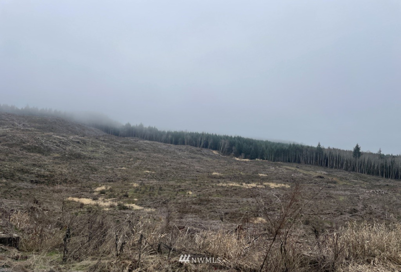 0 Salmon Creek, Toledo, Washington 98591, ,Land,For Sale,Salmon Creek,NWM1879890