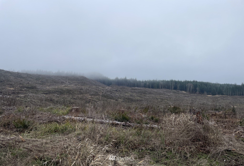 0 Salmon Creek, Toledo, Washington 98591, ,Land,For Sale,Salmon Creek,NWM1879890