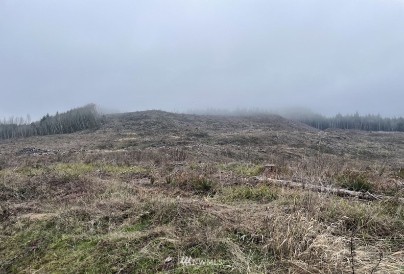 0 Salmon Creek, Toledo, Washington 98591, ,Land,For Sale,Salmon Creek,NWM1879890