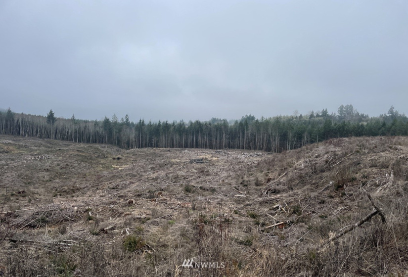 0 Salmon Creek, Toledo, Washington 98591, ,Land,For Sale,Salmon Creek,NWM1879890