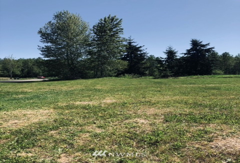 14608 Glacier Ridge, Yelm, Washington 98597, ,Land,For Sale,Glacier Ridge,NWM1880173