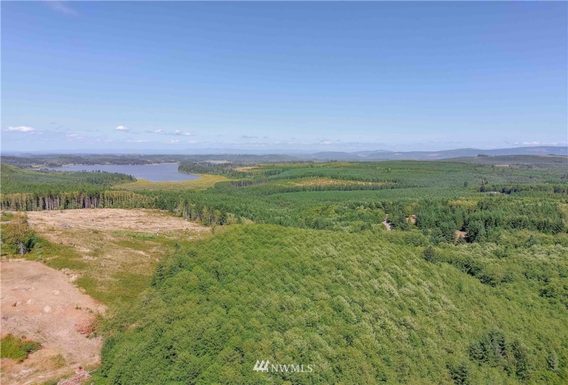 200 Red Hawk, Castle Rock, Washington 98611, ,Land,For Sale,Red Hawk,NWM1881018