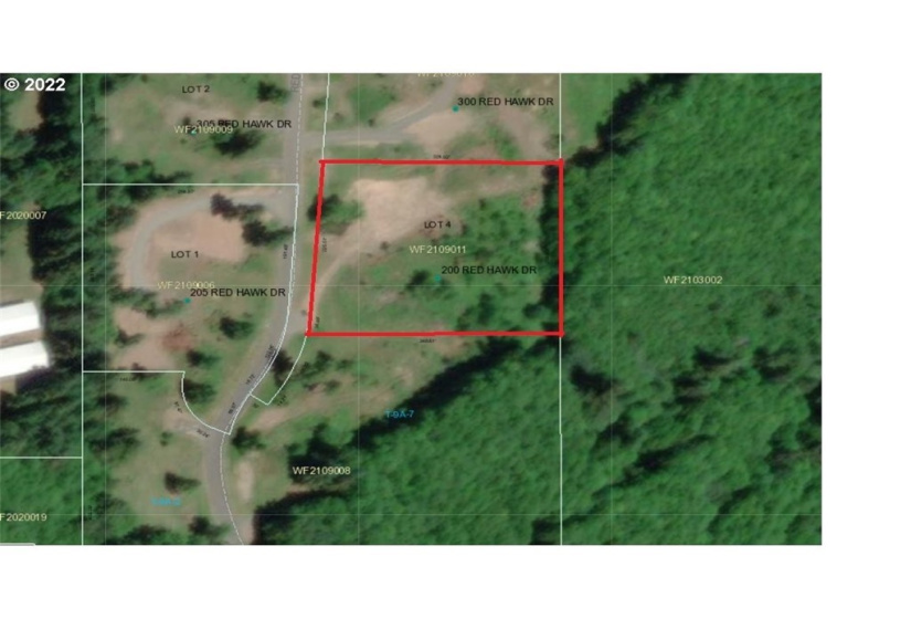 200 Red Hawk, Castle Rock, Washington 98611, ,Land,For Sale,Red Hawk,NWM1881018