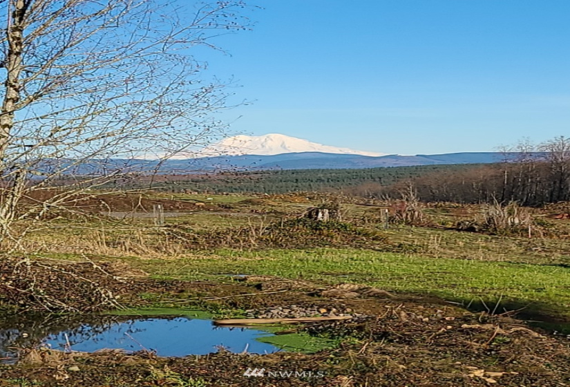 200 Red Hawk, Castle Rock, Washington 98611, ,Land,For Sale,Red Hawk,NWM1881018