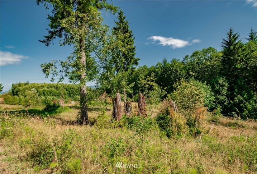 200 Red Hawk, Castle Rock, Washington 98611, ,Land,For Sale,Red Hawk,NWM1881018