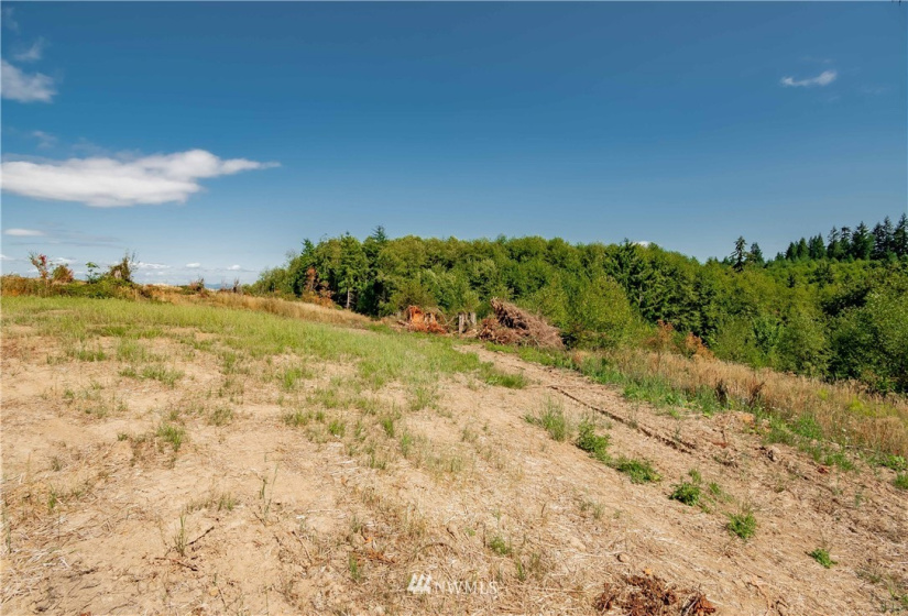200 Red Hawk, Castle Rock, Washington 98611, ,Land,For Sale,Red Hawk,NWM1881018