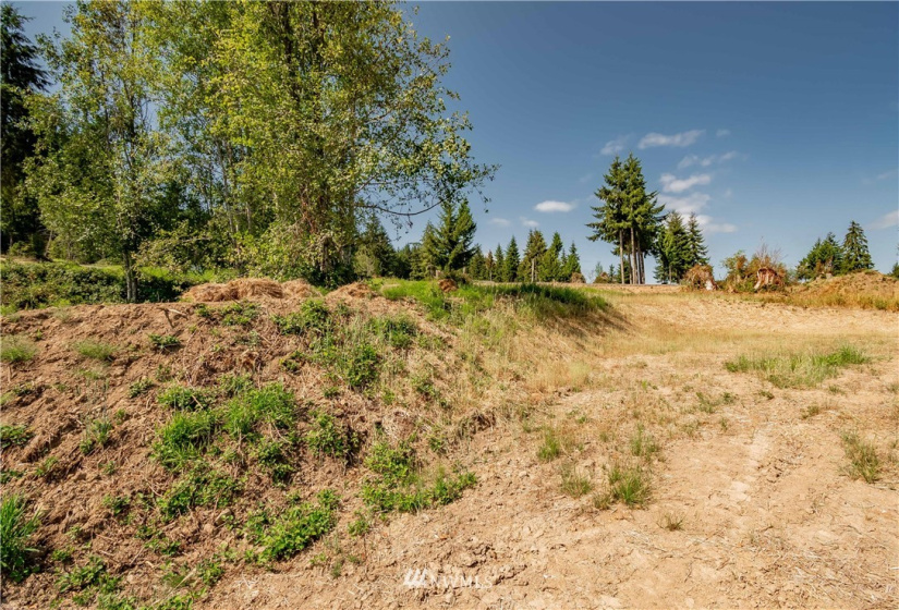 200 Red Hawk, Castle Rock, Washington 98611, ,Land,For Sale,Red Hawk,NWM1881018
