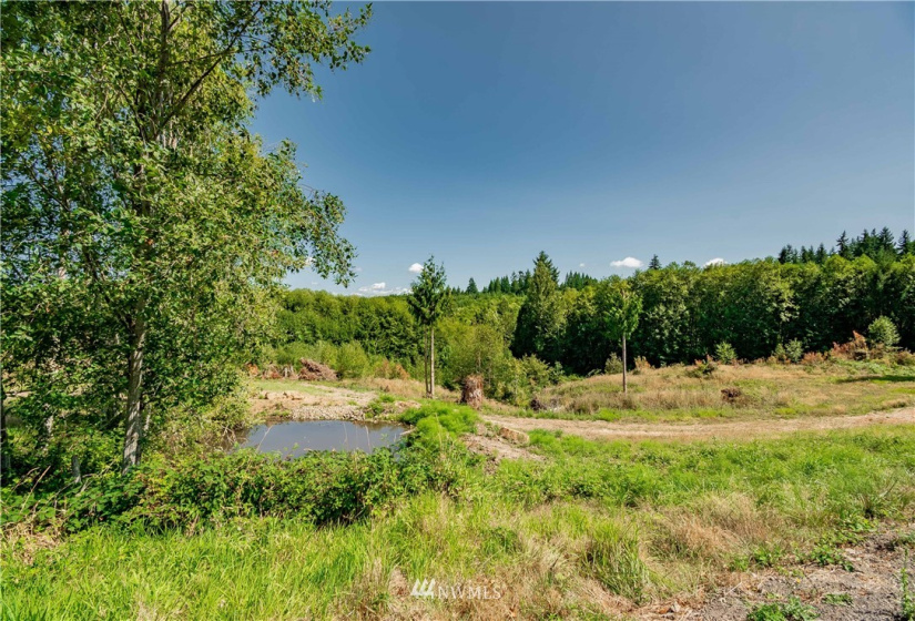 200 Red Hawk, Castle Rock, Washington 98611, ,Land,For Sale,Red Hawk,NWM1881018