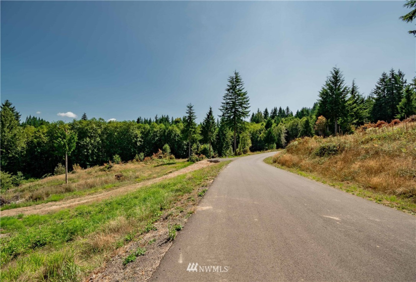 200 Red Hawk, Castle Rock, Washington 98611, ,Land,For Sale,Red Hawk,NWM1881018