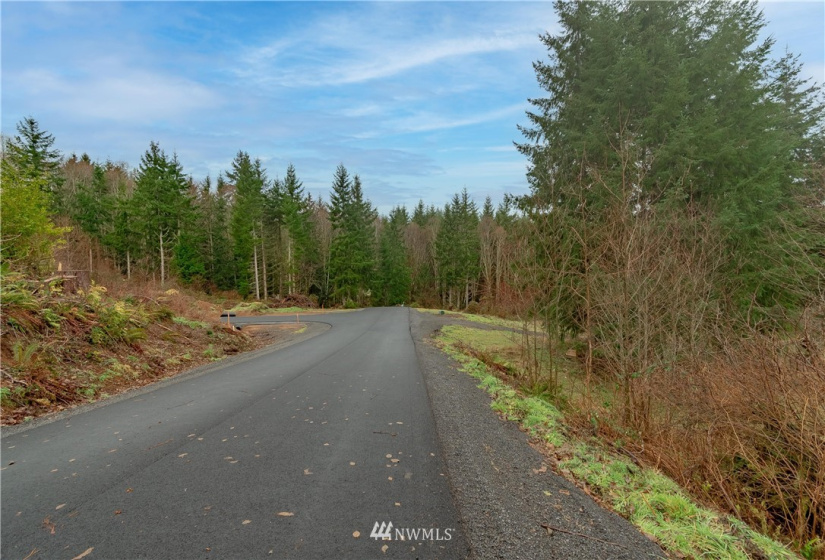 520 Red Hawk, Castle Rock, Washington 98611, ,Land,For Sale,lot 3 of Shortplat 21-24,Red Hawk,NWM1881520