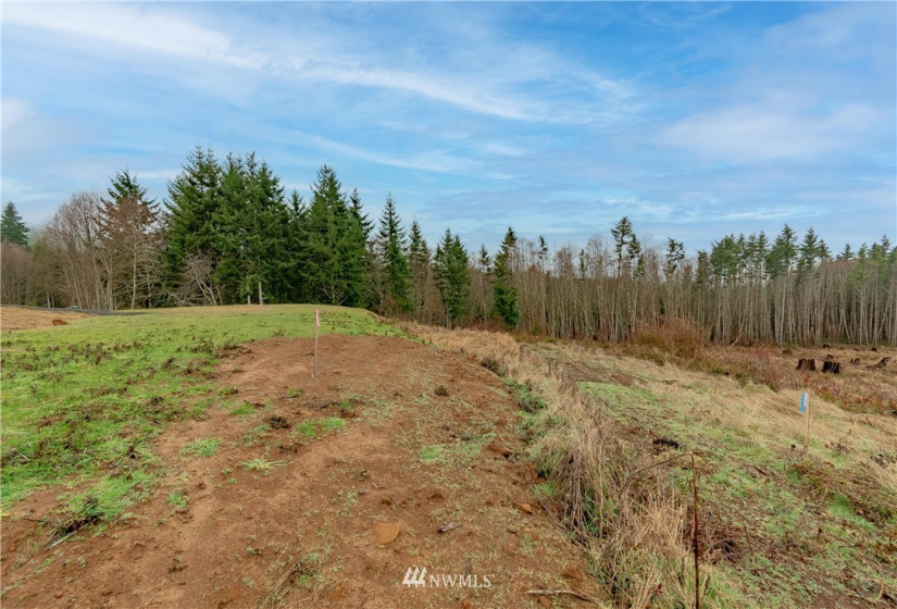 520 Red Hawk, Castle Rock, Washington 98611, ,Land,For Sale,lot 3 of Shortplat 21-24,Red Hawk,NWM1881520